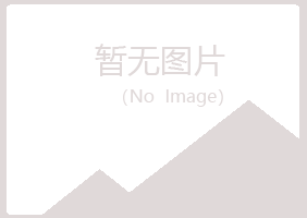 兰山区大海金属有限公司